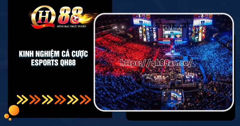 Esports QH88- Cá cược thể thao điện tử uy tín đa dạng kèo Kinh nghiệm cá cược Esports QH88 hay như chuyên gia