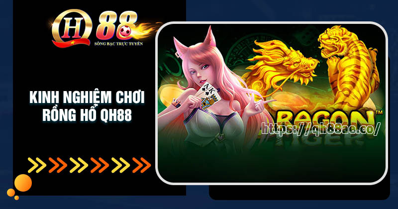 Rồng Hổ QH88 - Hướng dẫn cơ bản cho người mới Kinh nghiệm chơi Rồng Hổ QH88 luôn thắng lớn