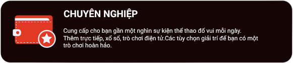 chuyen-nghiep